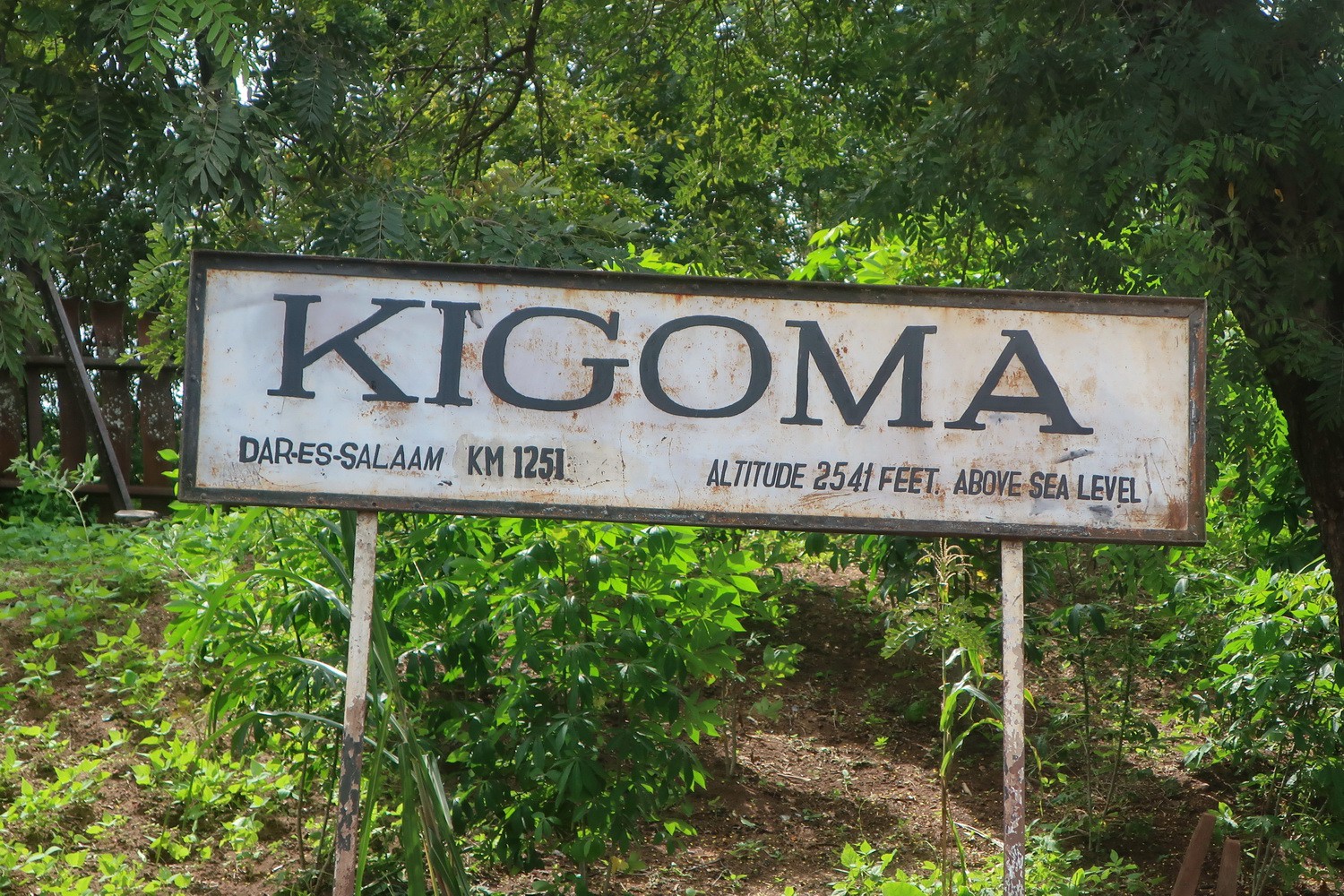 Finally arriving in Kigoma